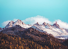 欧冠比赛数据-不胜其扰，詹姆斯回应ESPN长文后直接终止采访：每个人都疯了