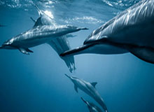 欧冠比赛数据-不胜其扰，詹姆斯回应ESPN长文后直接终止采访：每个人都疯了